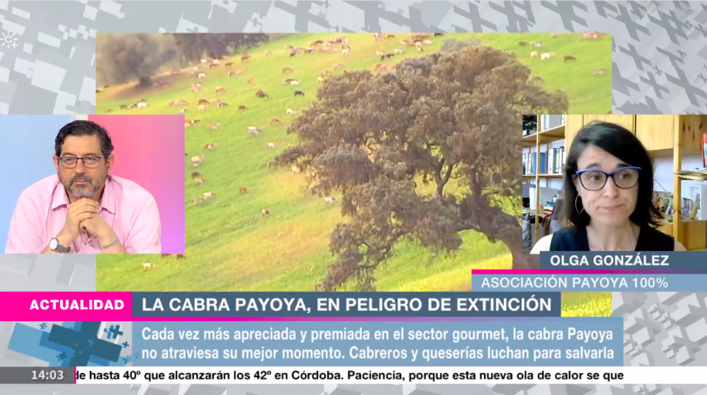 La Cabra Payoya en el programa Mesa de análisis de Canal Sur 