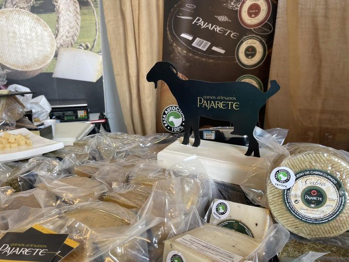 Un Cincho de Oro para un queso de leche de Cabra Payoya 100×100 