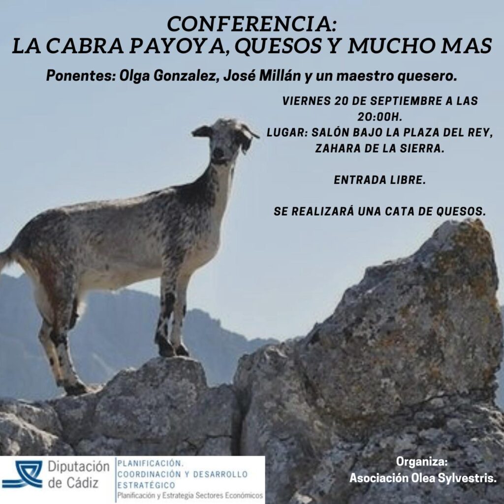 Un encuentro con sabor a Cabra Payoya 