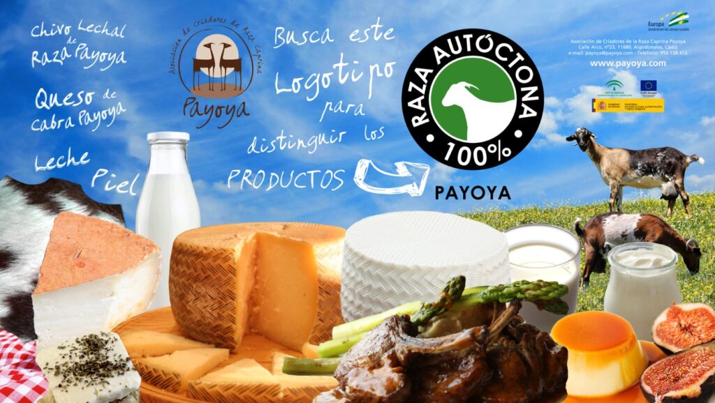 Tres queserías con Logotipo Raza Autóctona 100% PAYOYA premiadas en los World Cheese Awards 2024