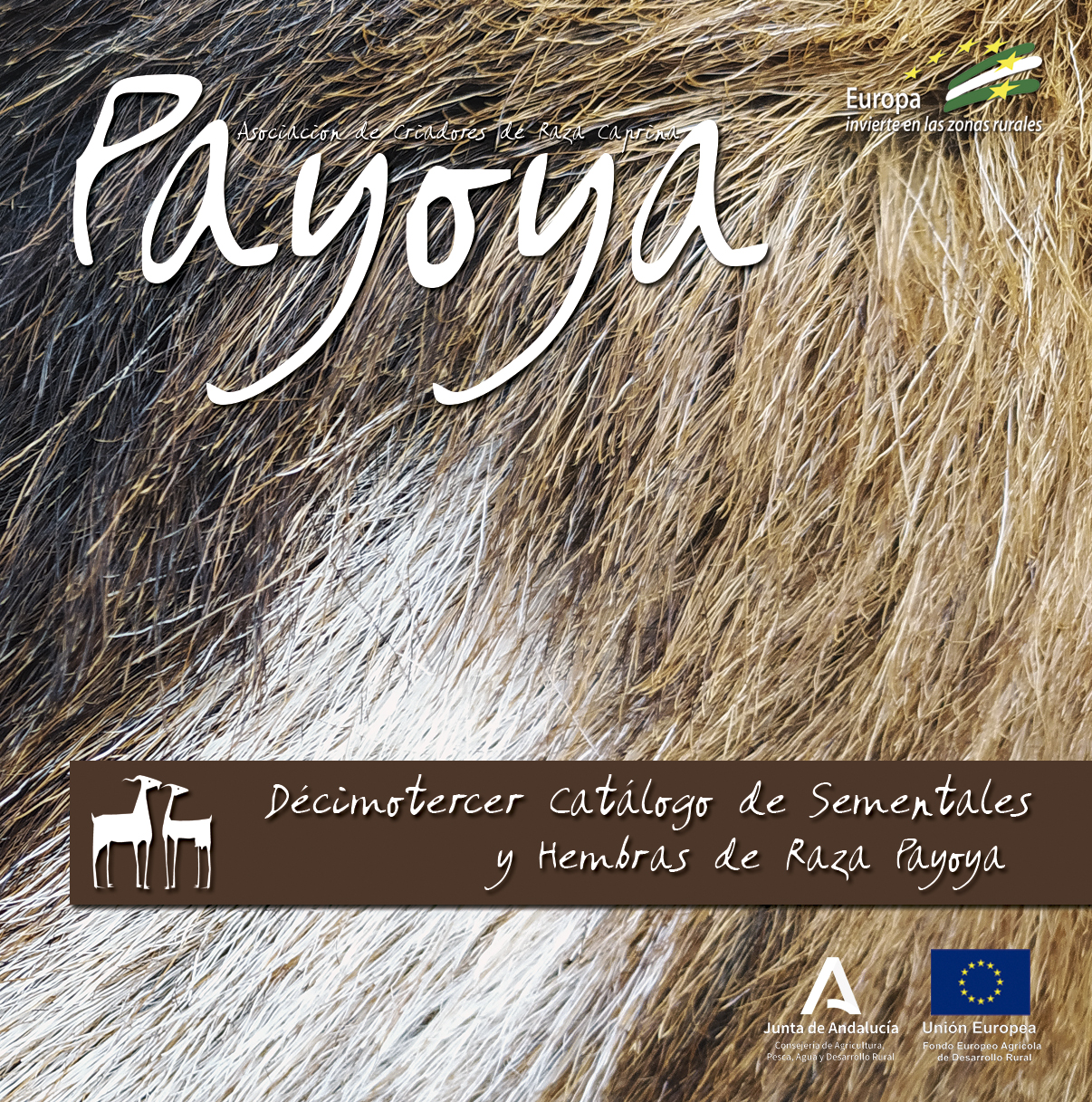 Decimotercer Catálogo de Sementales y Hembras de Raza Payoya